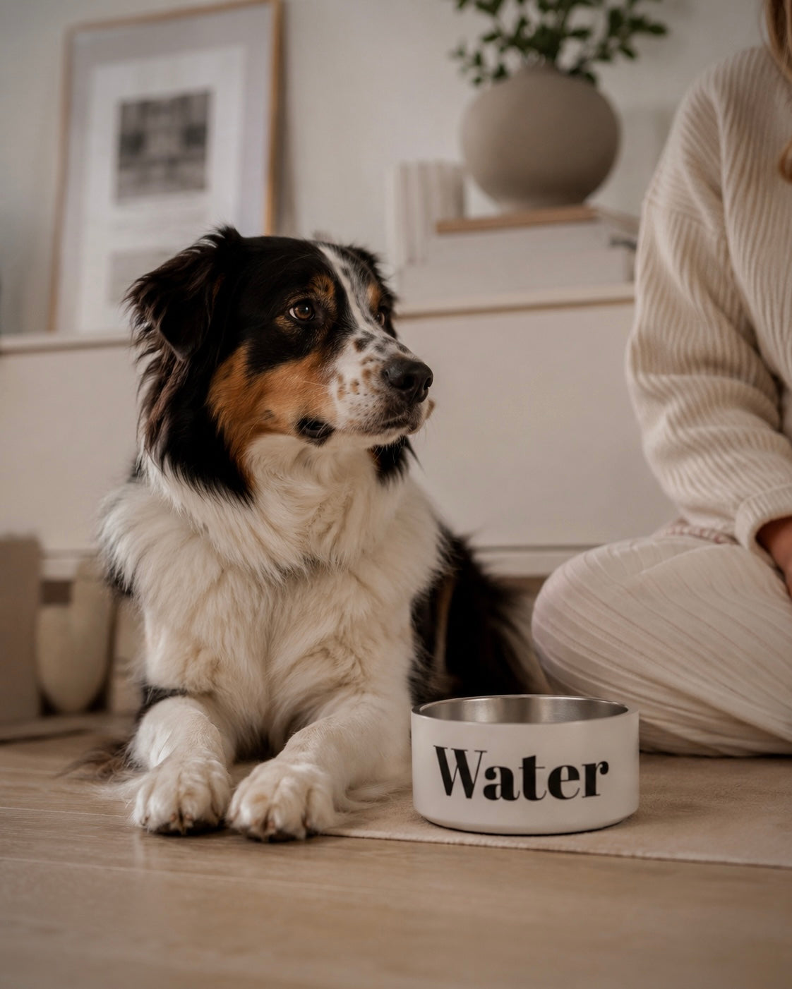 Hundenapf Water
