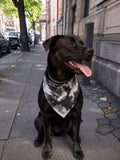 Bandana Nimbus Collection