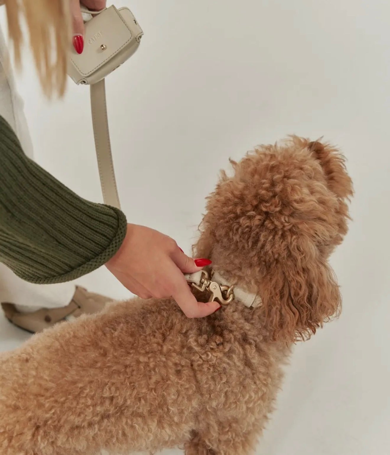 Veganes Lederhalsband Beige, CAFIDE